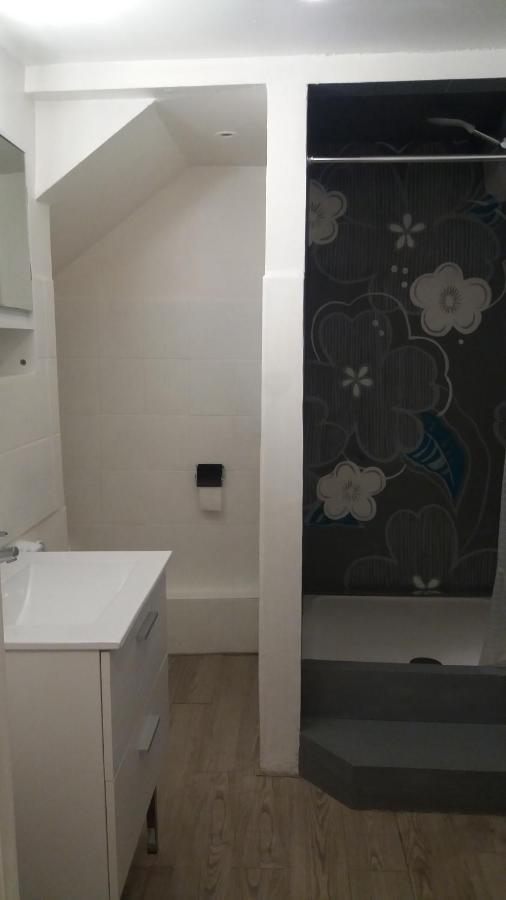 Appartement Meublé Type T2 Metz Extérieur photo
